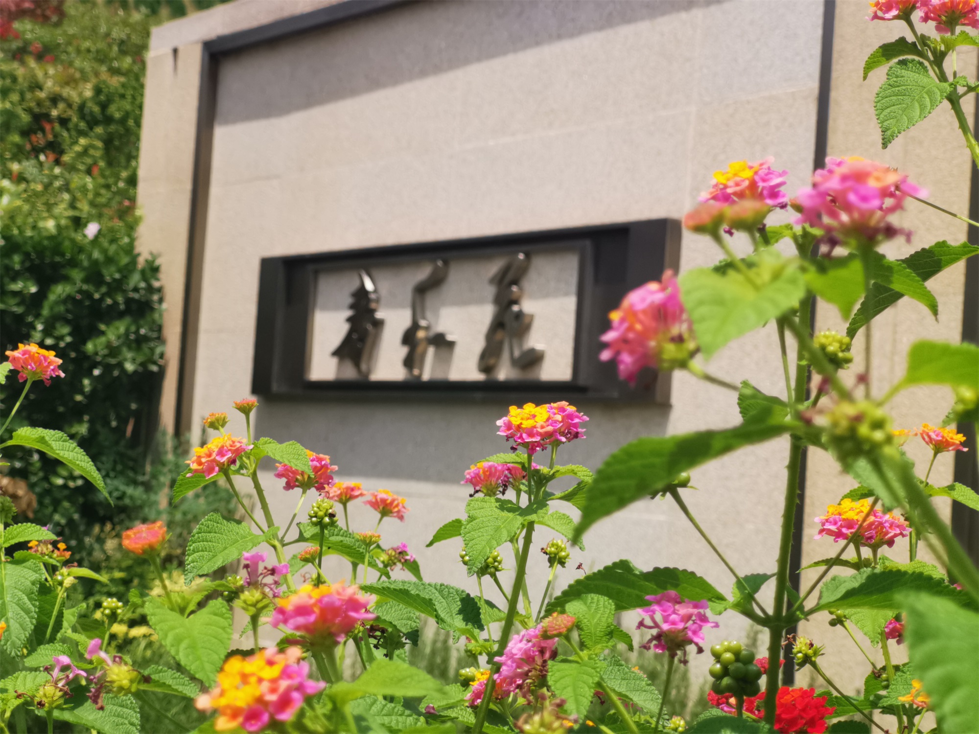 端午临中夏 时清日复长